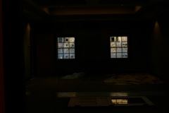 Meeting Room Windows